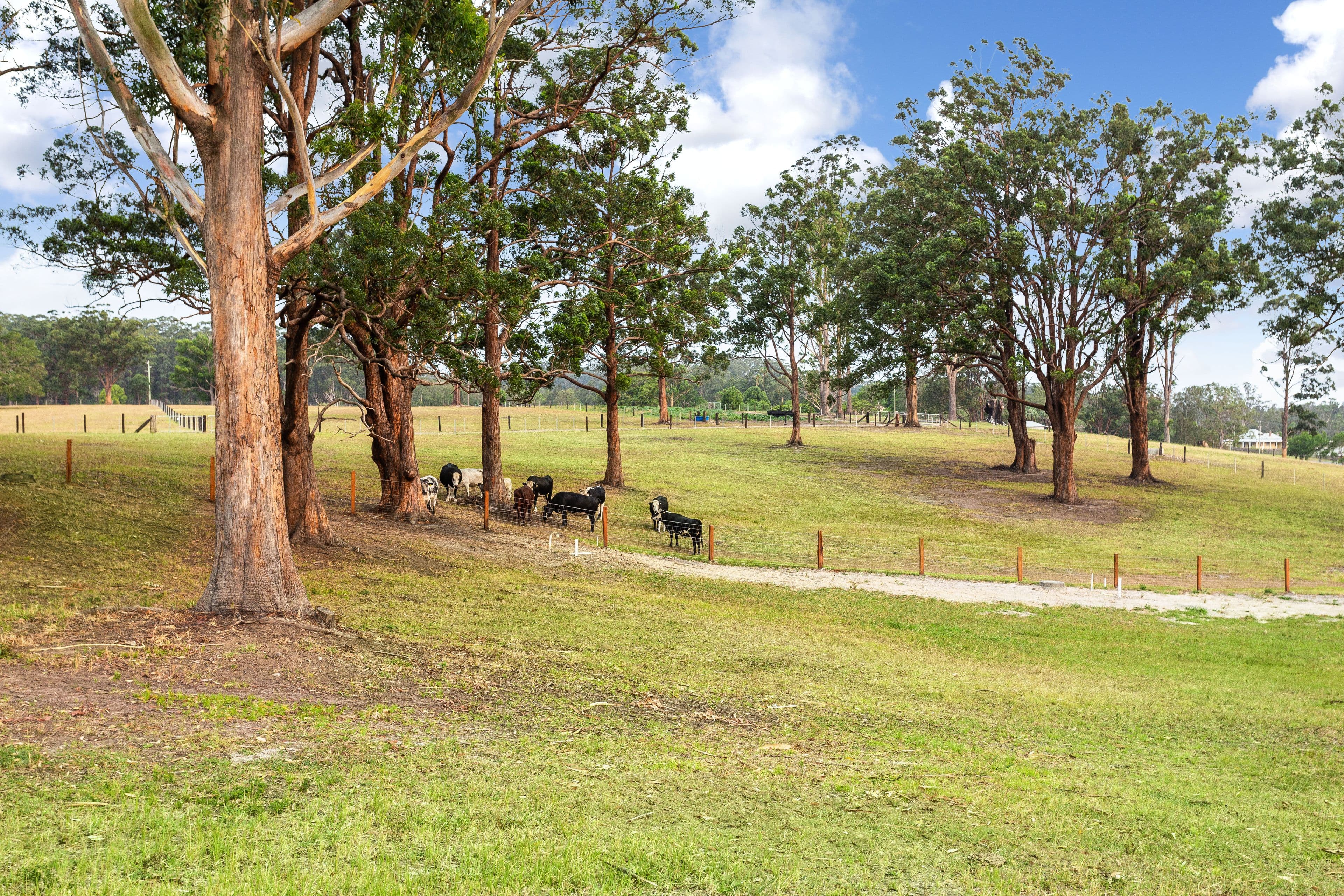 Lot 1 Bangalow Road, Coopernook NSW 2426, Coopernook - Thumbnail 8