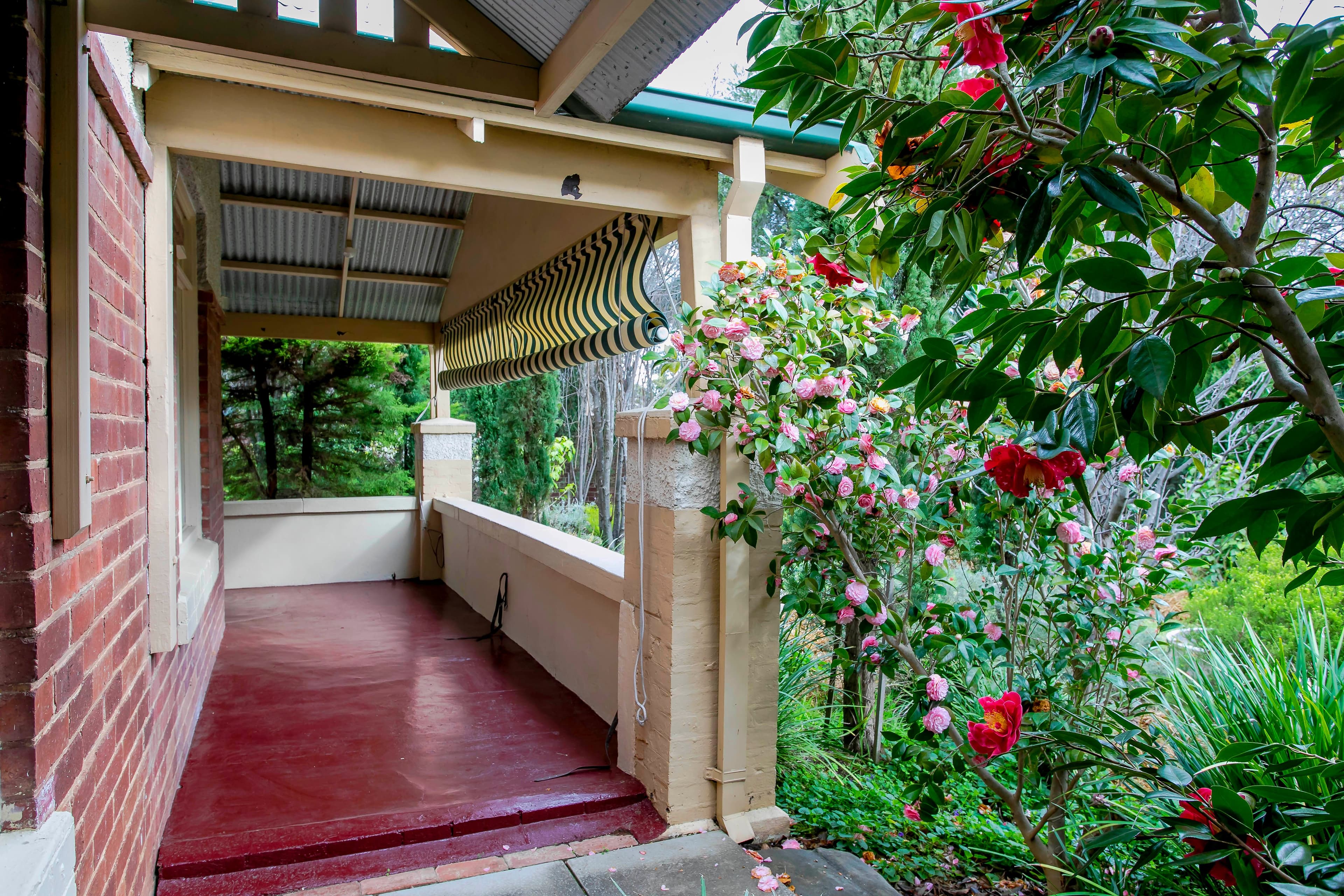 157 Belair Road, Torrens Park SA 5062, Torrens Park - Thumbnail 3