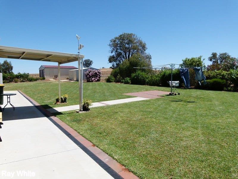 9 Bob Acheson Avenue, Forbes - Thumbnail 4