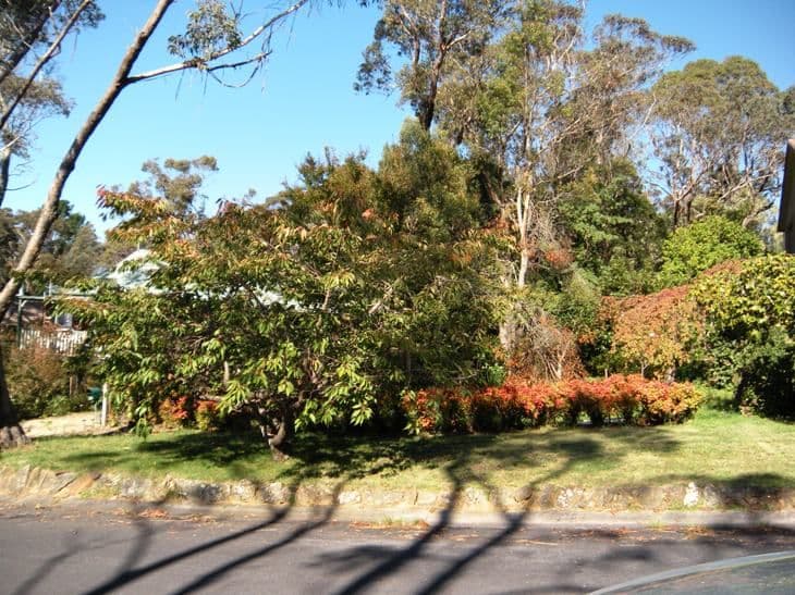 213 Connaught Road, BLACKHEATH NSW 2785, Blackheath - Image 1