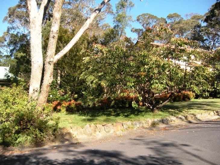 213 Connaught Road, BLACKHEATH NSW 2785, Blackheath - Thumbnail 2