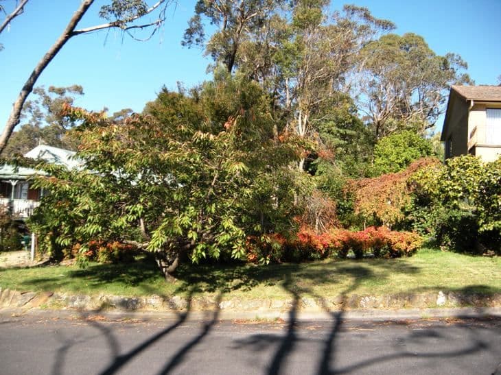 213 Connaught Road, BLACKHEATH NSW 2785, Blackheath - Thumbnail 4