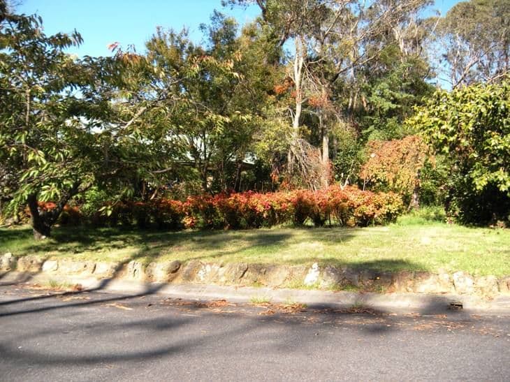 213 Connaught Road, BLACKHEATH NSW 2785, Blackheath - Thumbnail 5