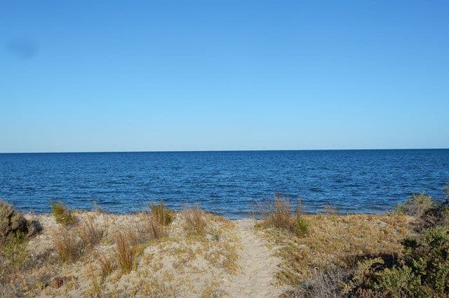 75 Main Street, Pine Point SA 5571, Pine Point - Thumbnail 2