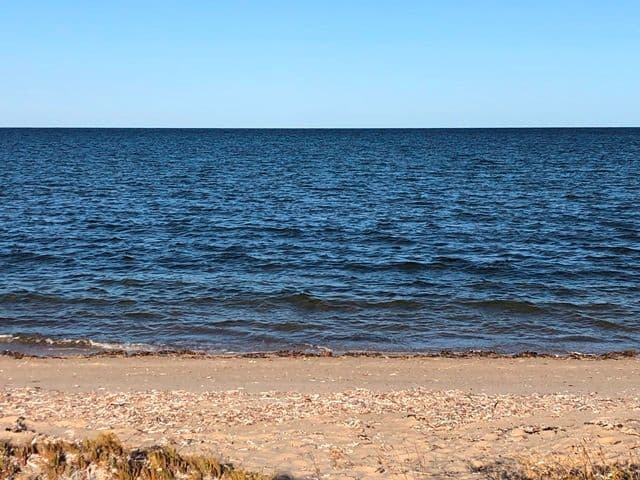 75 Main Street, Pine Point SA 5571, Pine Point - Thumbnail 6