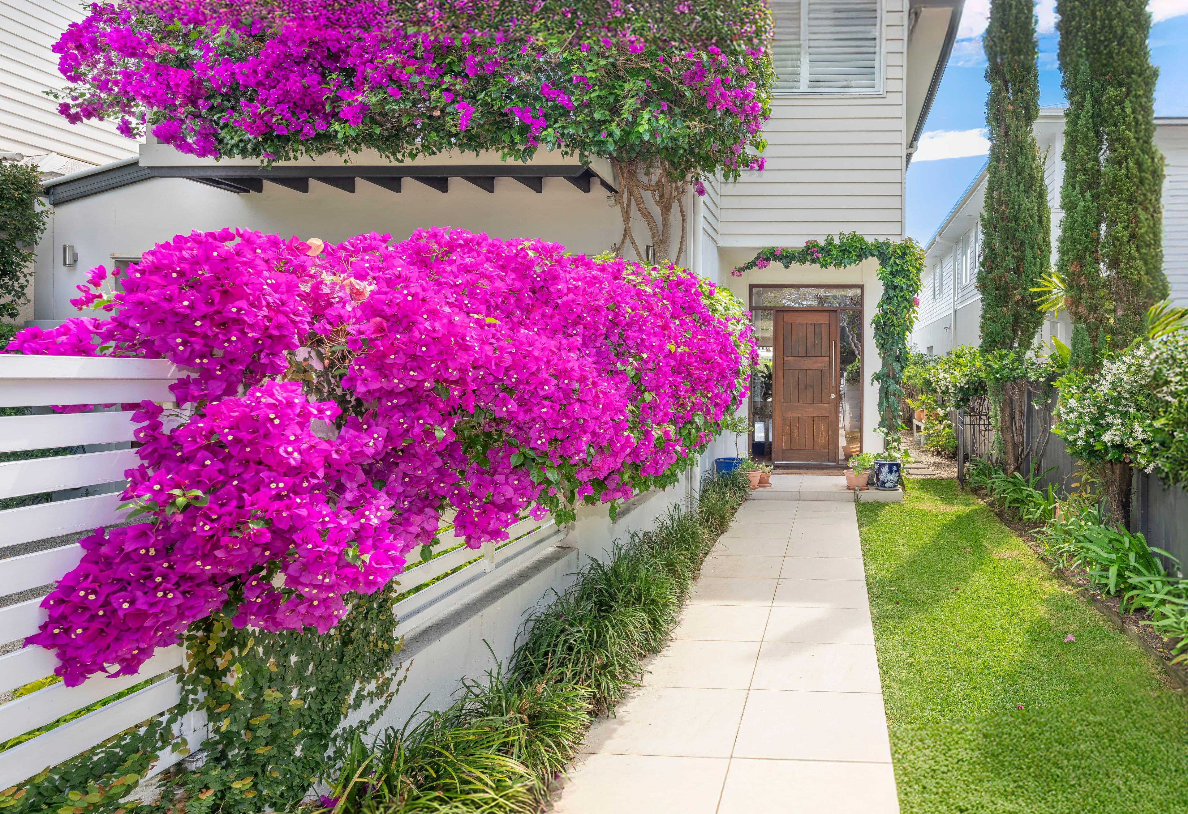 62 Burilda Street, Hendra QLD 4011, Hendra - Thumbnail 2