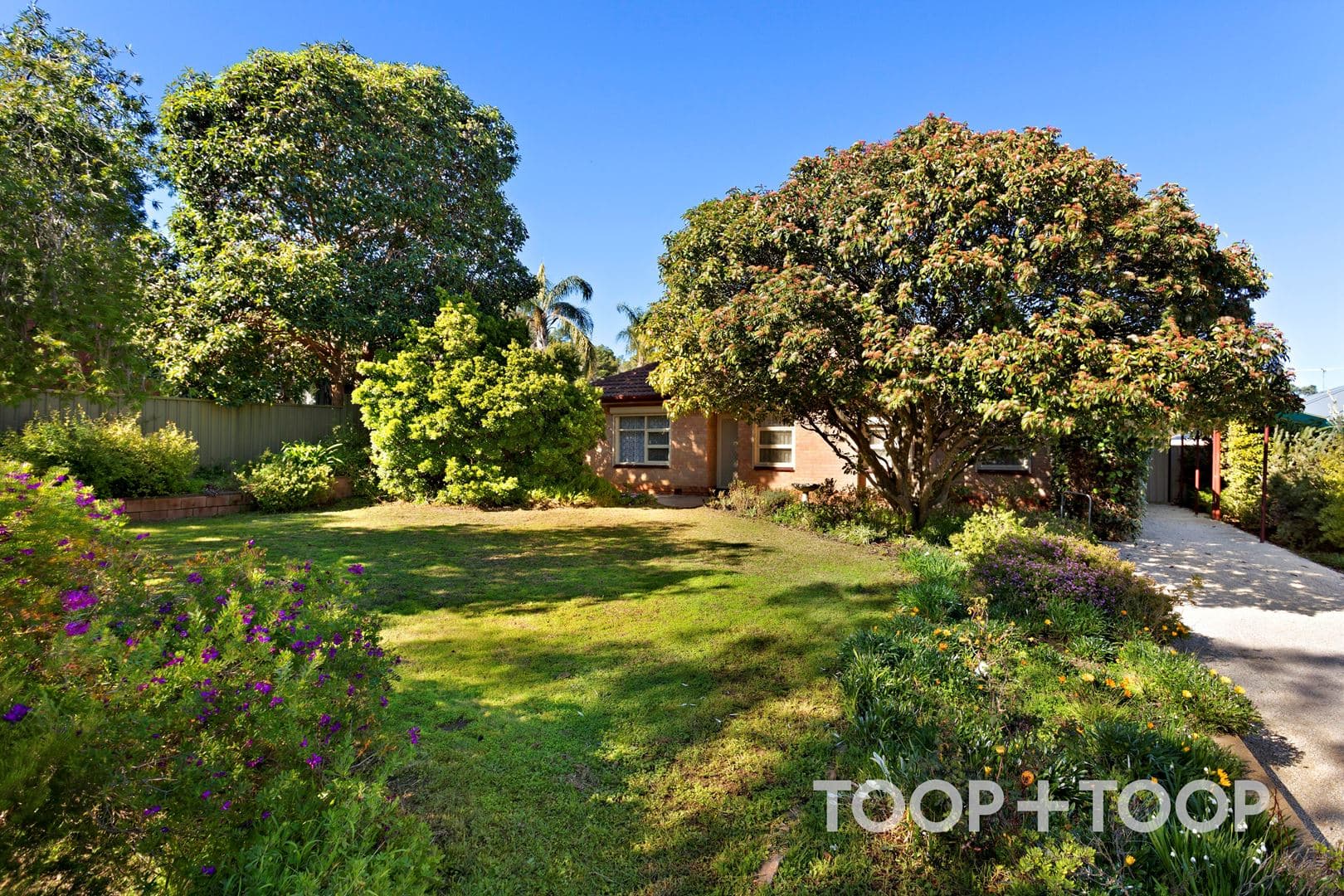 40 William Street, Tea Tree Gully SA 5091, Tea Tree Gully - Image 1