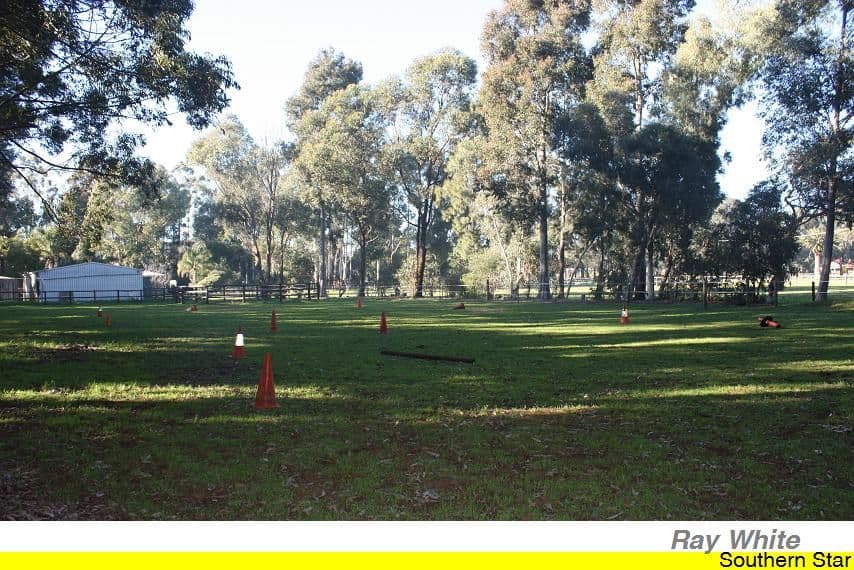 31 Dalray Court, DARLING DOWNS WA 6122, Darling Downs - Thumbnail 7