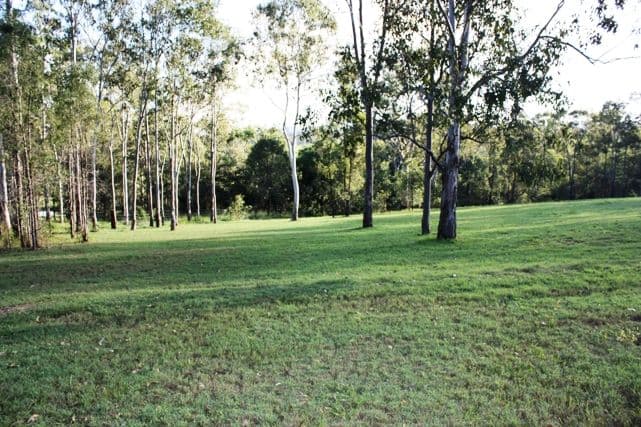 TAMBORINE QLD 4270, Tamborine - Thumbnail 4