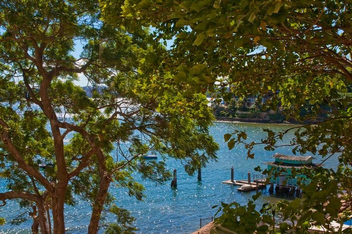 4 Buckhurst Avenue, POINT PIPER NSW 2027, Point Piper - Thumbnail 2