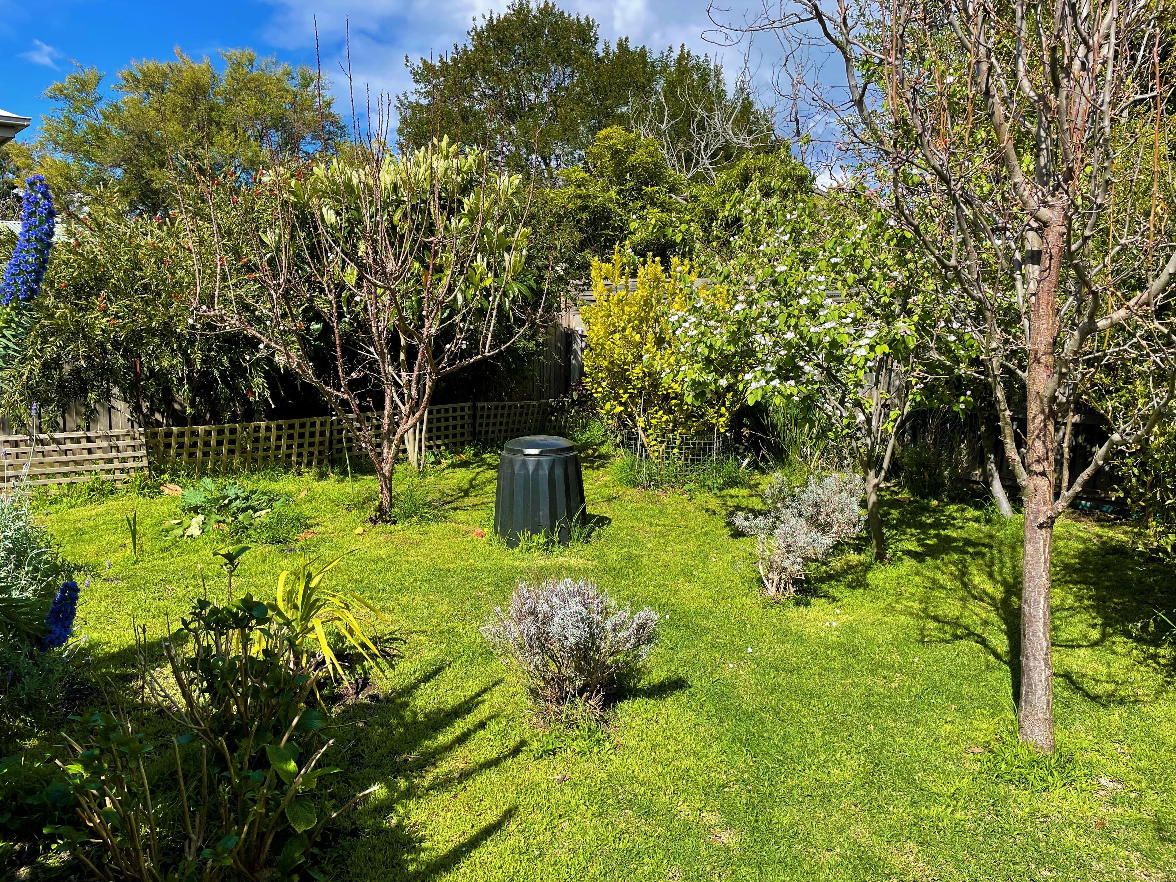 26 Warner Street, Indented Head VIC 3223, Indented Head - Thumbnail 7