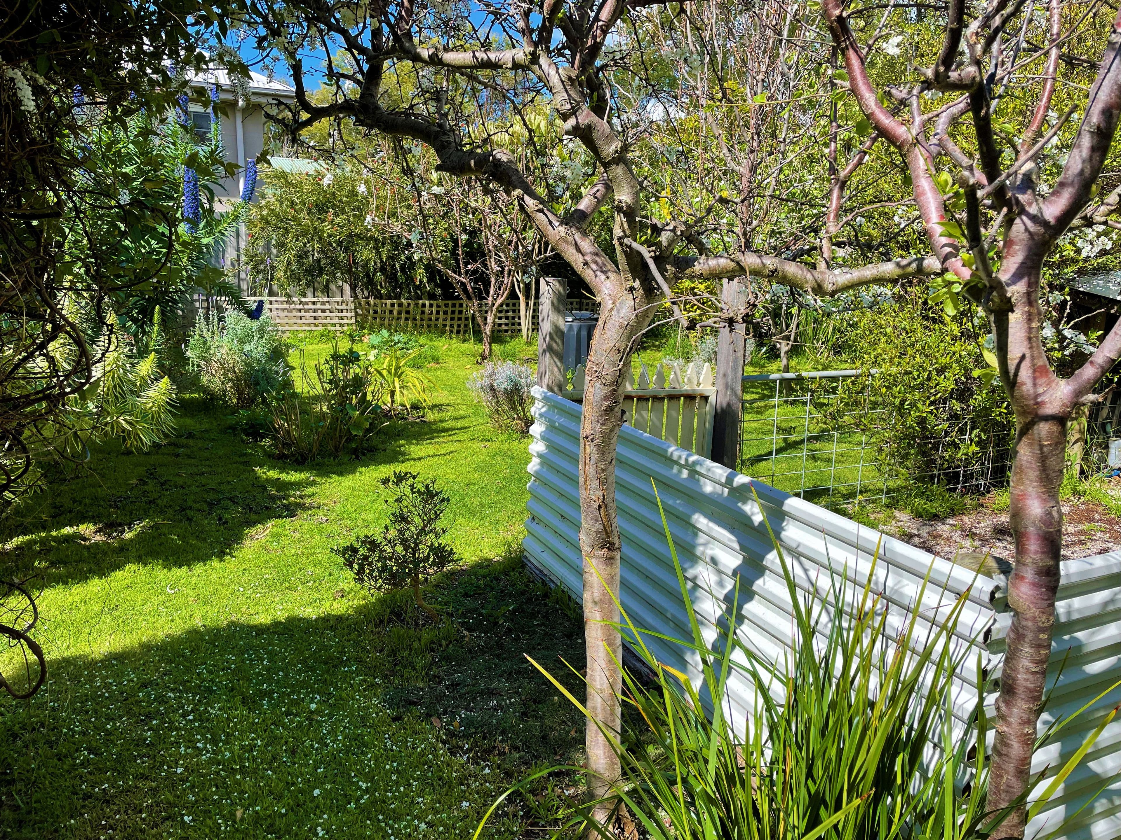 26 Warner Street, Indented Head VIC 3223, Indented Head - Thumbnail 8