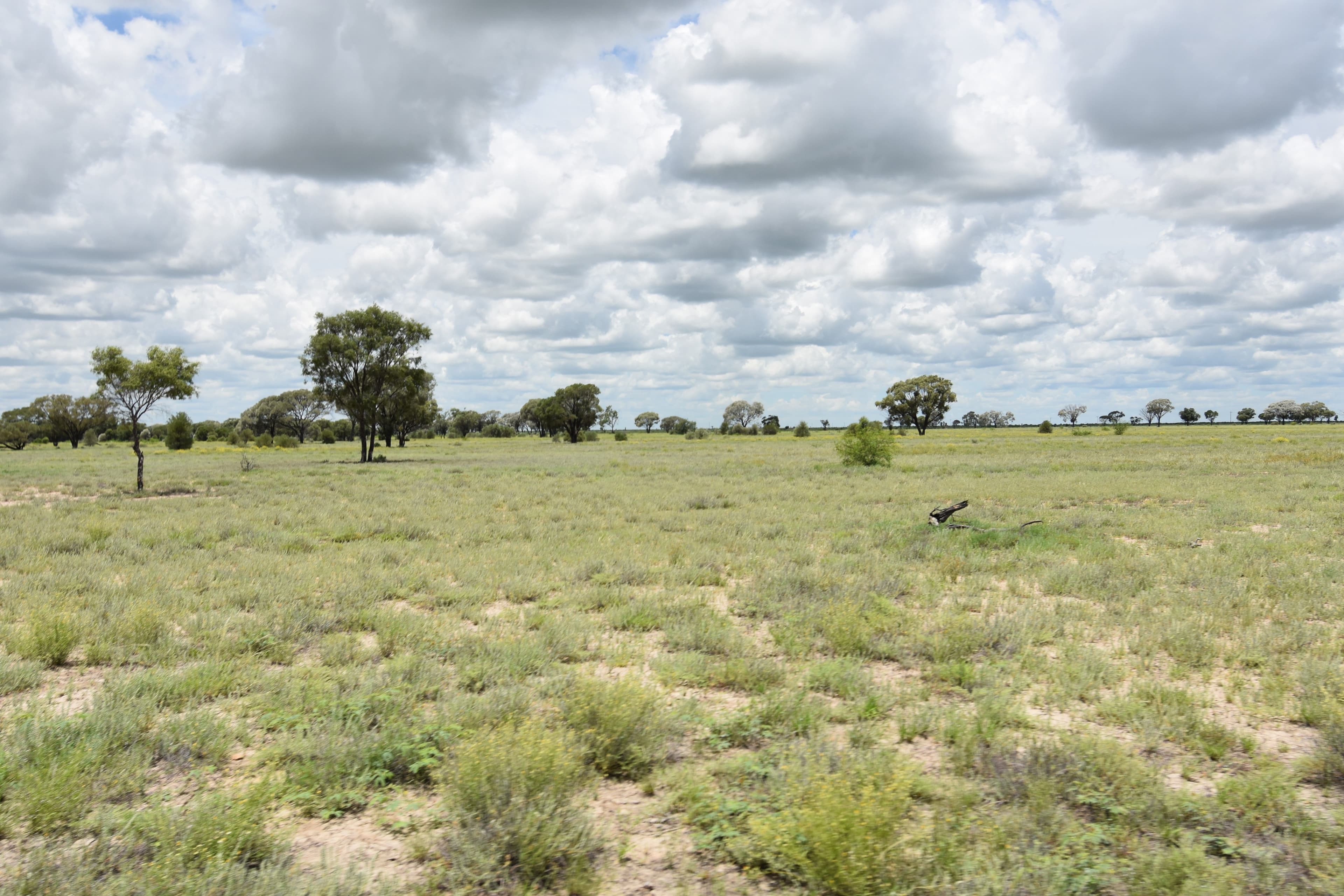 6400 Barcaldine Aramac Road, Aramac QLD 4726, Aramac - Thumbnail 2