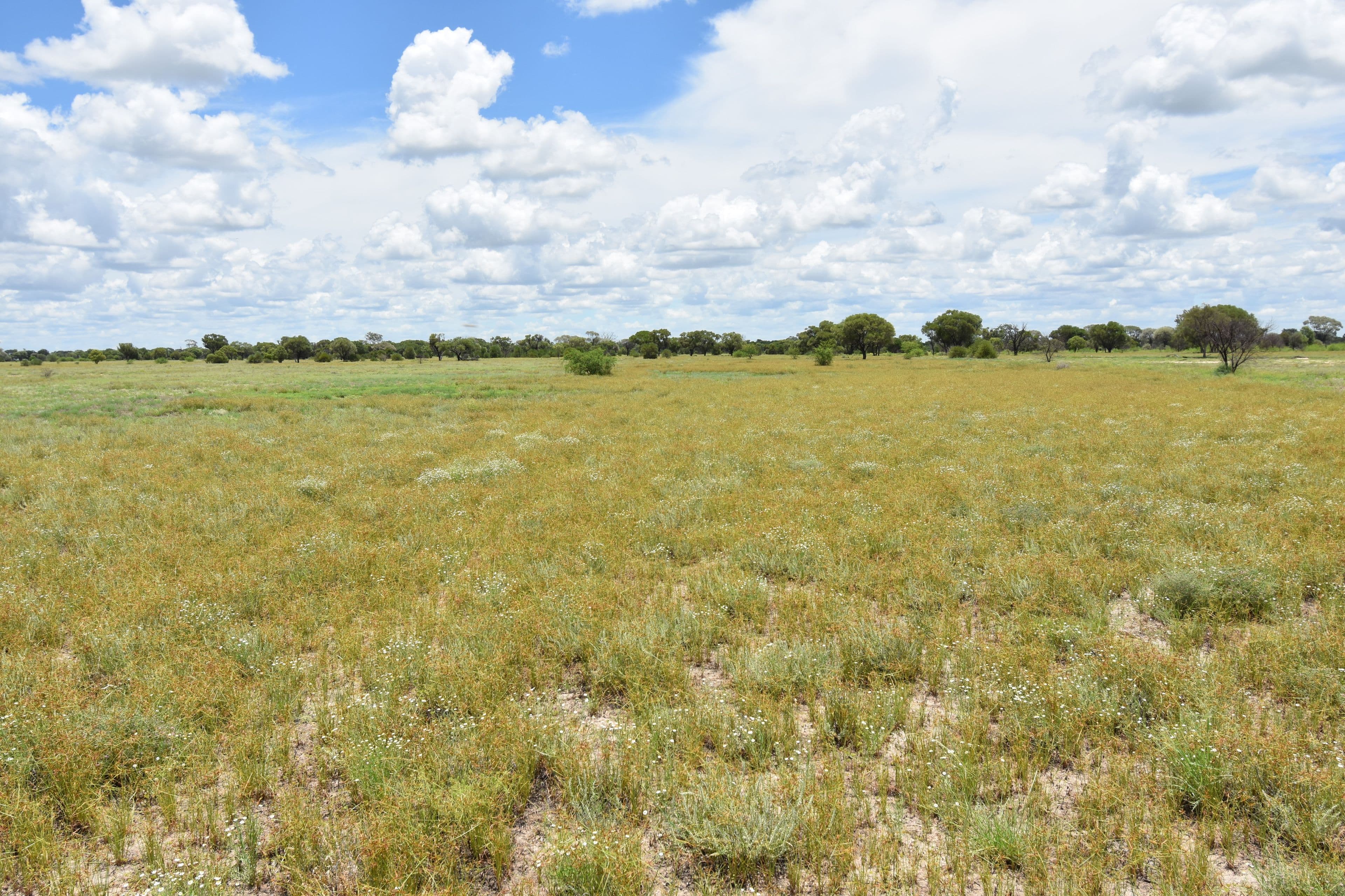 6400 Barcaldine Aramac Road, Aramac QLD 4726, Aramac - Thumbnail 3