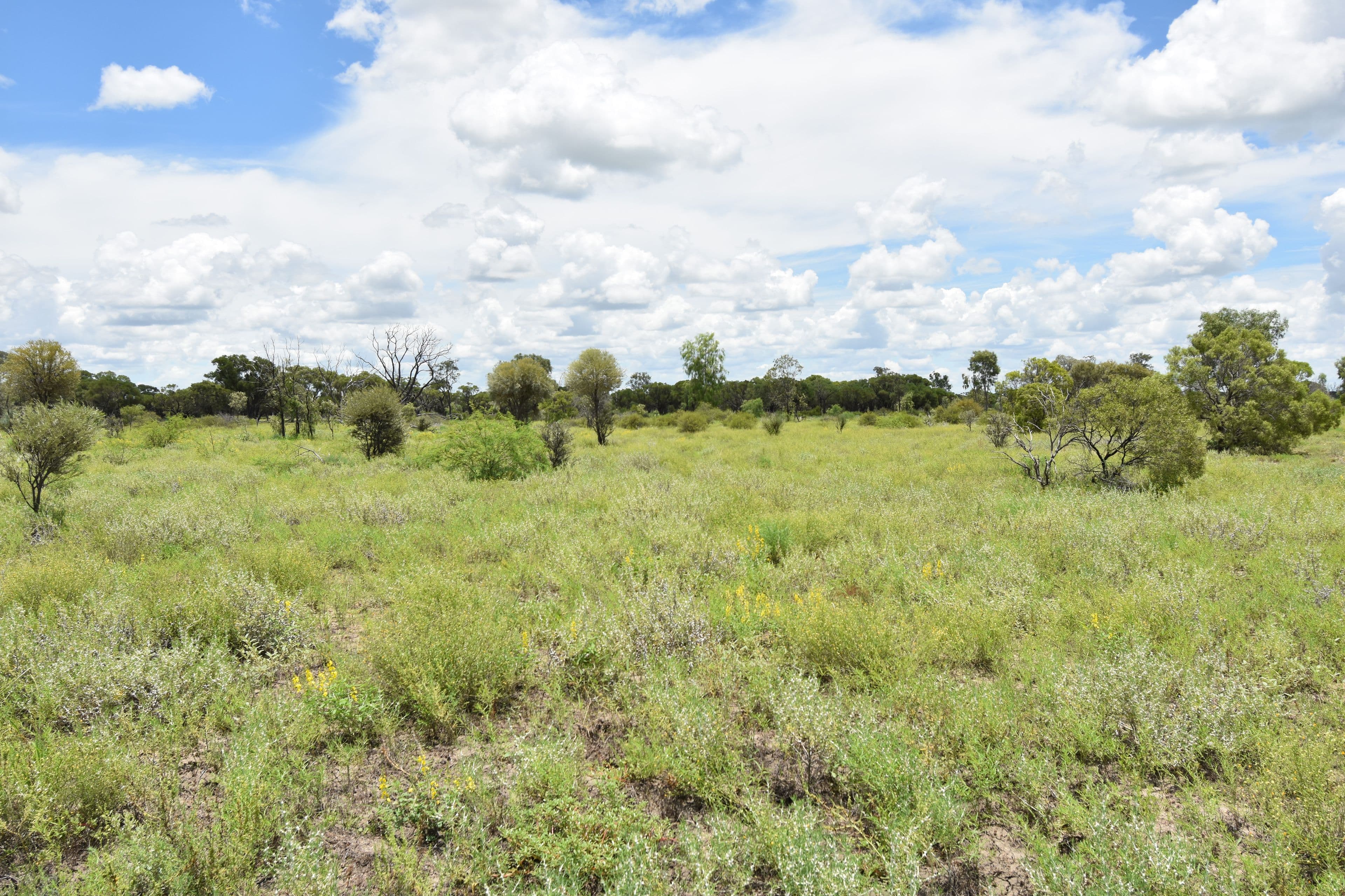 6400 Barcaldine Aramac Road, Aramac QLD 4726, Aramac - Thumbnail 6
