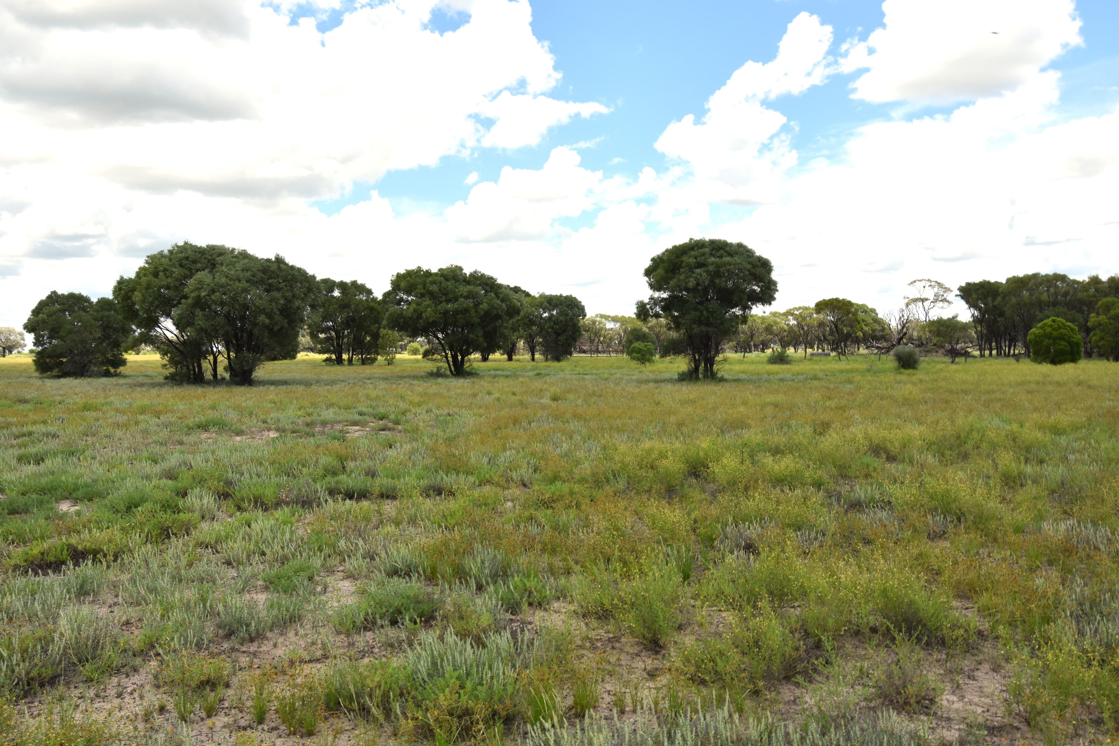 6400 Barcaldine Aramac Road, Aramac QLD 4726, Aramac - Thumbnail 7
