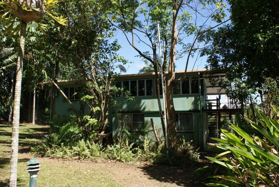 7 Webb Court, Bingil Bay QLD 4852, Bingil Bay - Thumbnail 6