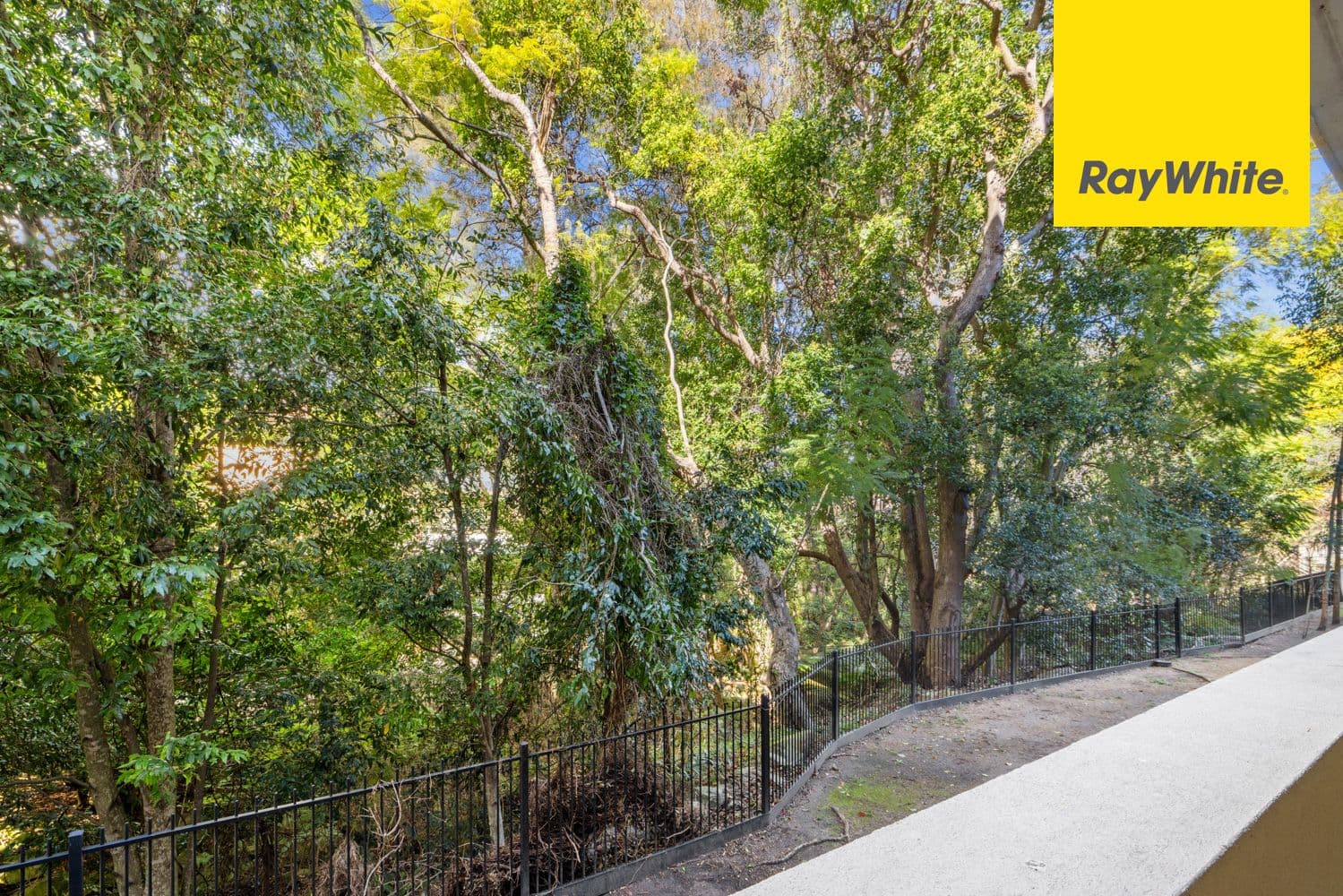 23 Ray Road, Epping NSW 2121, Epping - Thumbnail 6