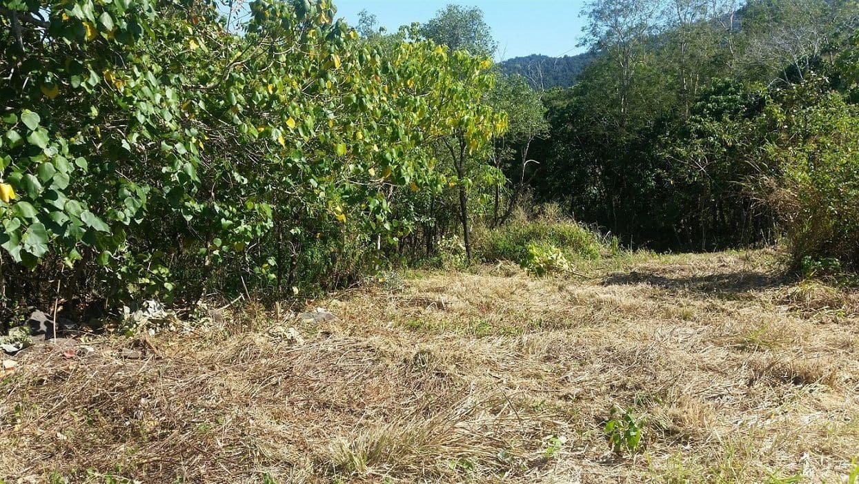 Lot 3 Conway Road, Conway QLD 4800, Conway - Thumbnail 8