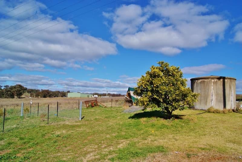 78 Victoria Gully Road, YOUNG NSW 2594, Young - Thumbnail 4