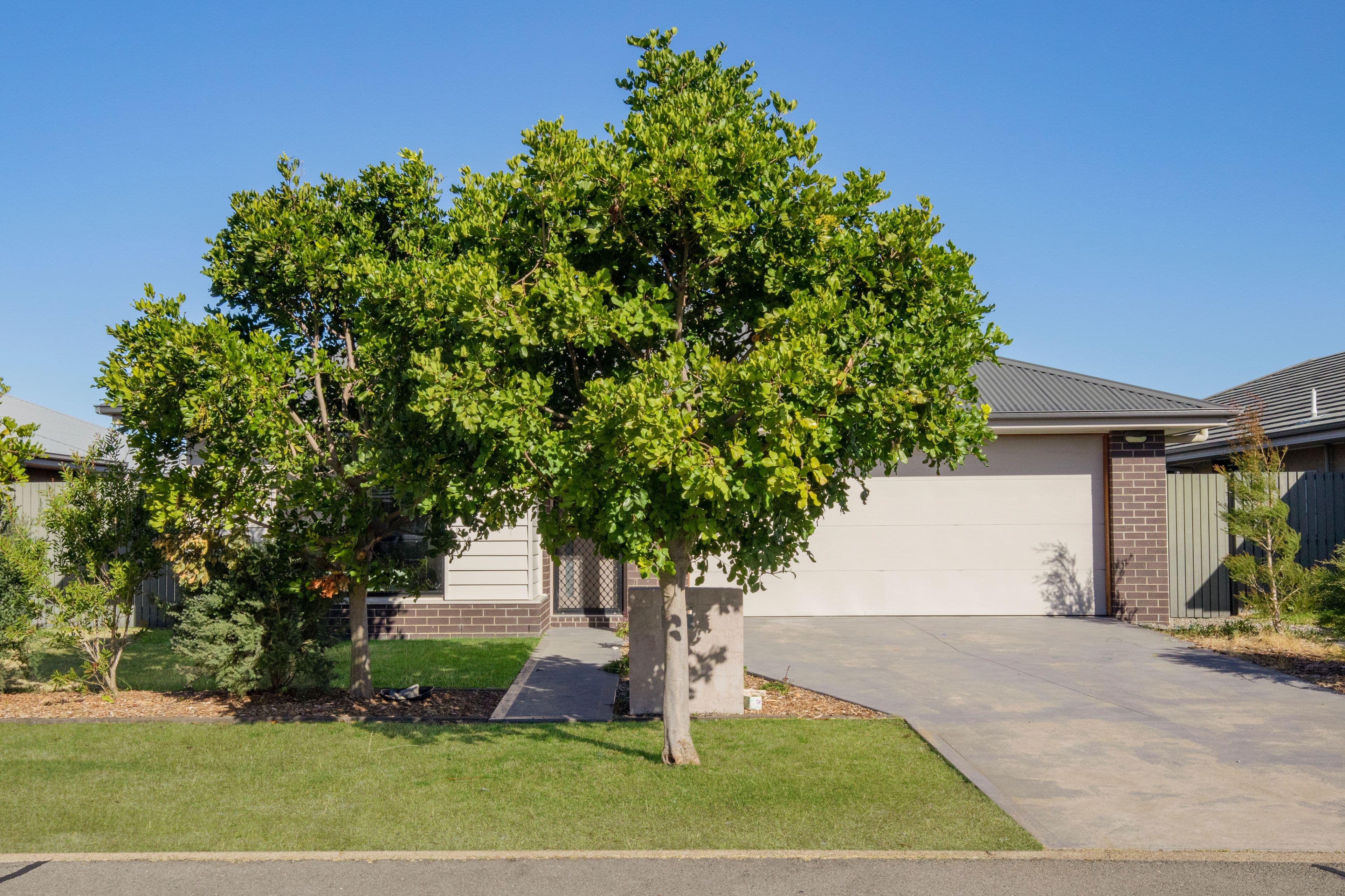 26 Rosemary Street, Fern Bay NSW 2295, Fern Bay - Image 1
