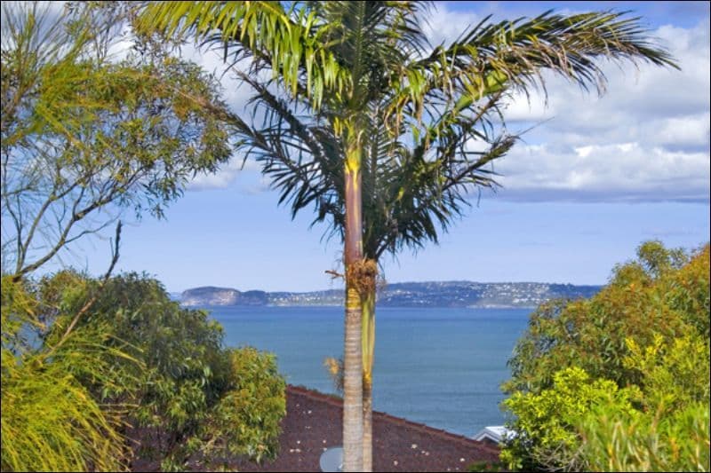 46 The Scenic Road, KILLCARE HEIGHTS NSW 2257, Killcare Heights - Thumbnail 8