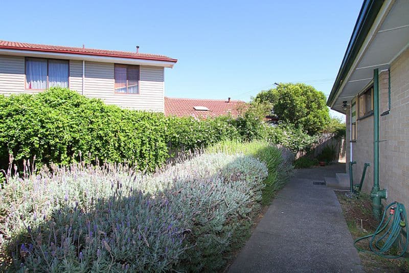 7 Kemp Avenue, THOMASTOWN VIC 3074, Thomastown - Thumbnail 7