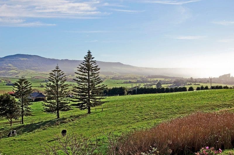 65 Crooked River Road, GERROA NSW 2534, Gerroa - Thumbnail 2