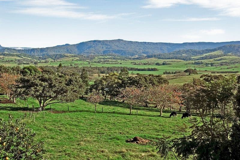 65 Crooked River Road, GERROA NSW 2534, Gerroa - Thumbnail 4