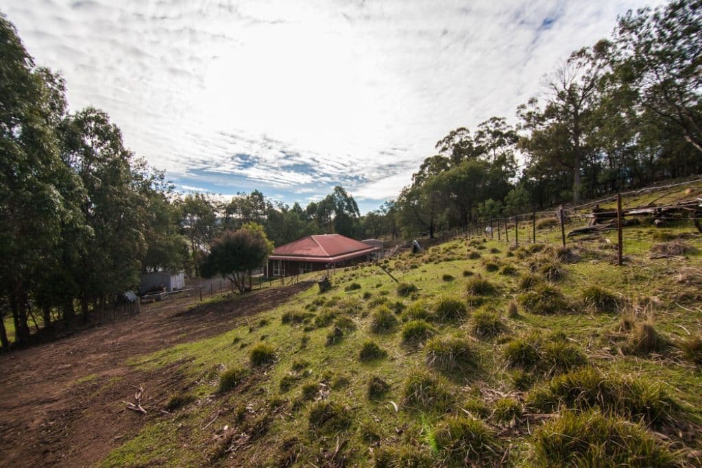 10 Kelsey Road, BLACKSTONE HEIGHTS TAS 7250, Blackstone Heights - Thumbnail 8