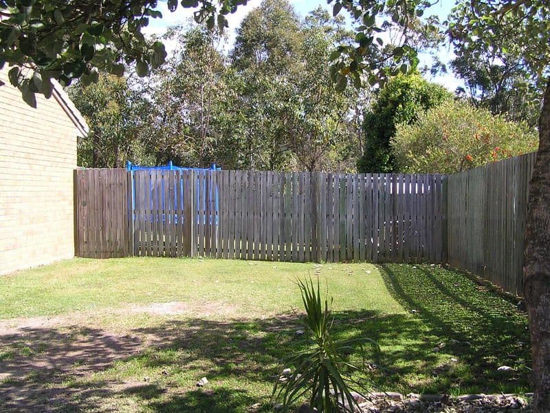 12 Pinemount Crescent, PACIFIC PINES QLD 4211, Pacific Pines - Thumbnail 6