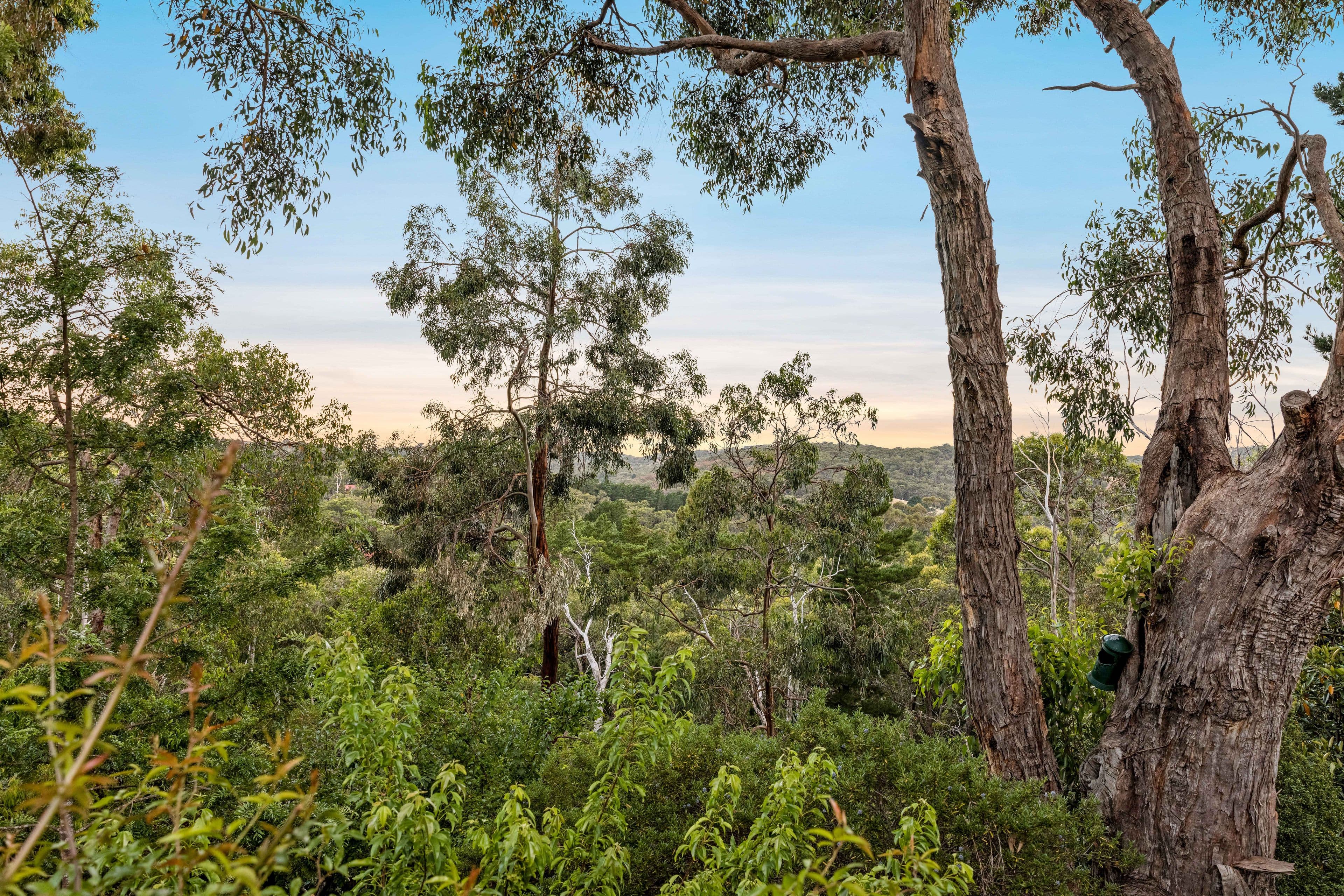 19 Wychwood Grove, Upper Sturt SA 5156, Upper Sturt - Thumbnail 3