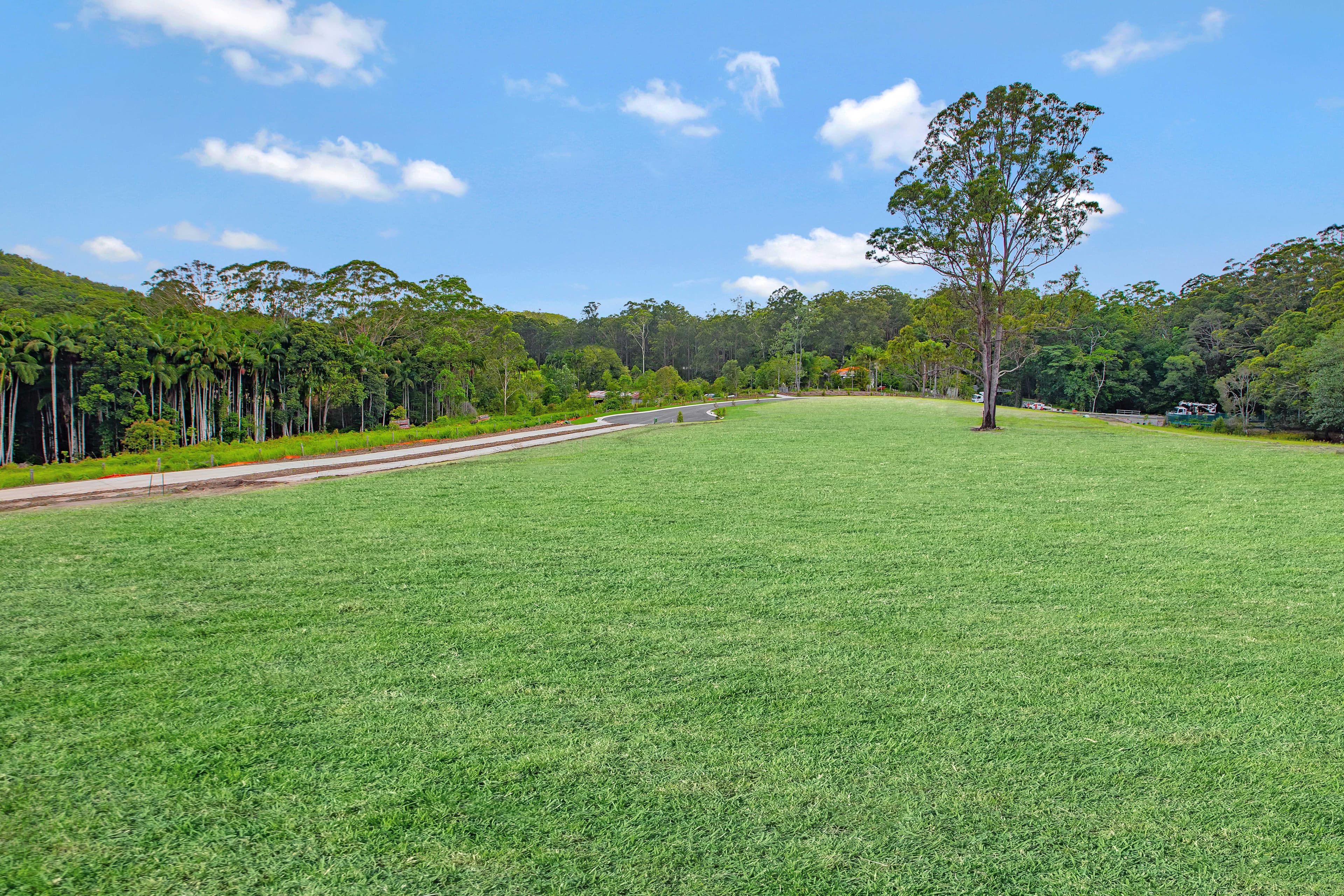 Proposed Lot 4 Dunne Road, Glenview QLD 4553, Glenview - Thumbnail 2