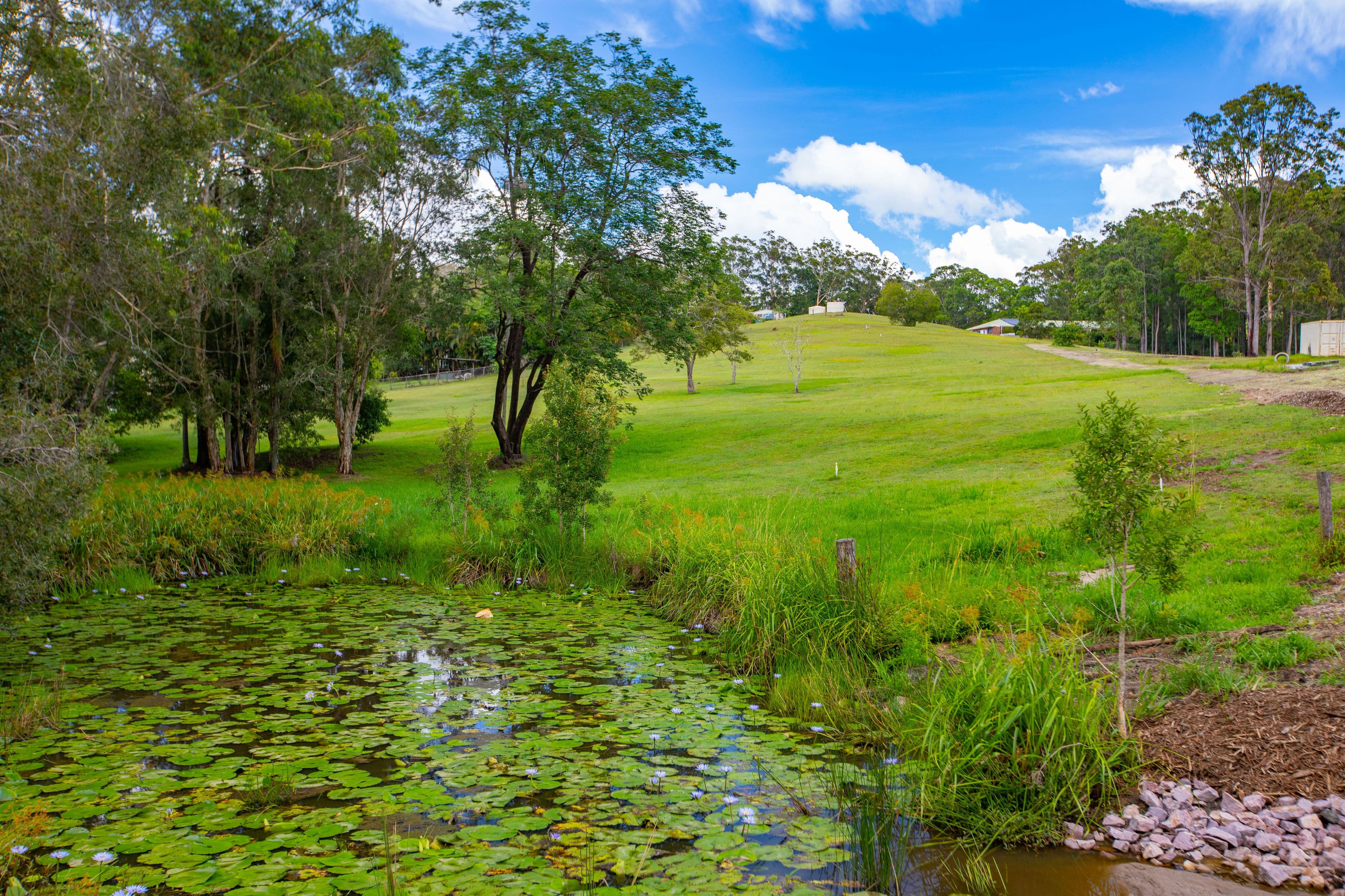 Proposed Lot 4 Dunne Road, Glenview QLD 4553, Glenview - Thumbnail 3