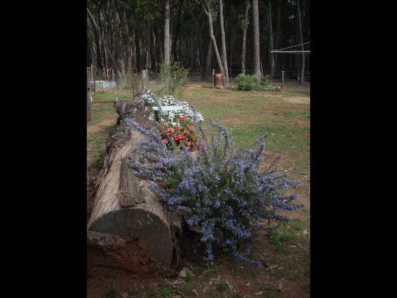 51 Ponds Road, GILGAI NSW 2360, Gilgai - Thumbnail 5
