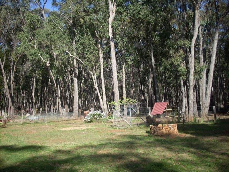 51 Ponds Road, GILGAI NSW 2360, Gilgai - Thumbnail 8
