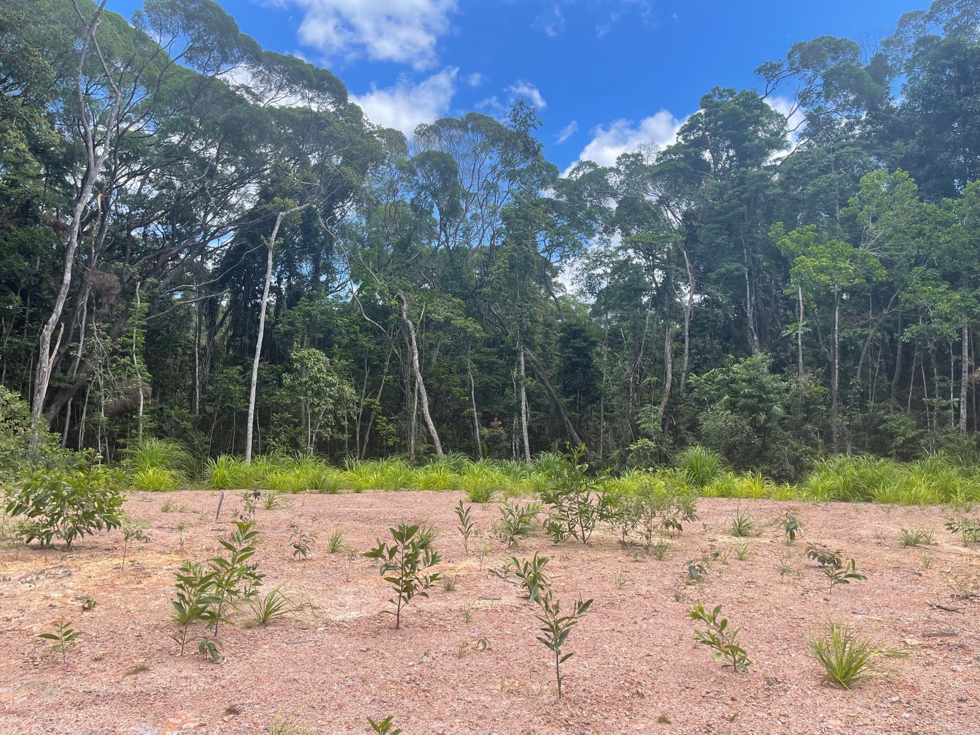 13 Christensen Road, Kuranda QLD 4881, Kuranda - Thumbnail 4