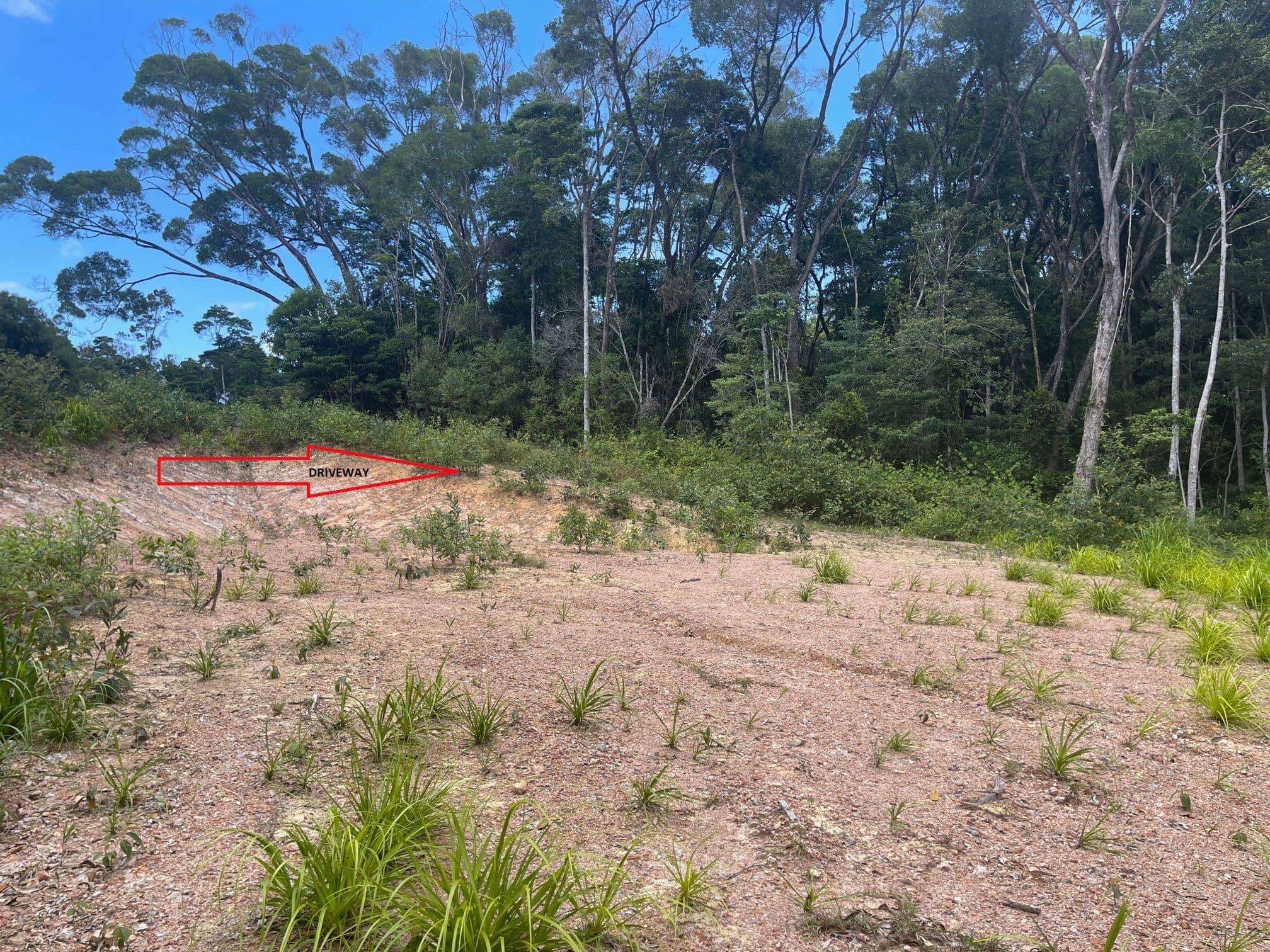 13 Christensen Road, Kuranda QLD 4881, Kuranda - Thumbnail 6