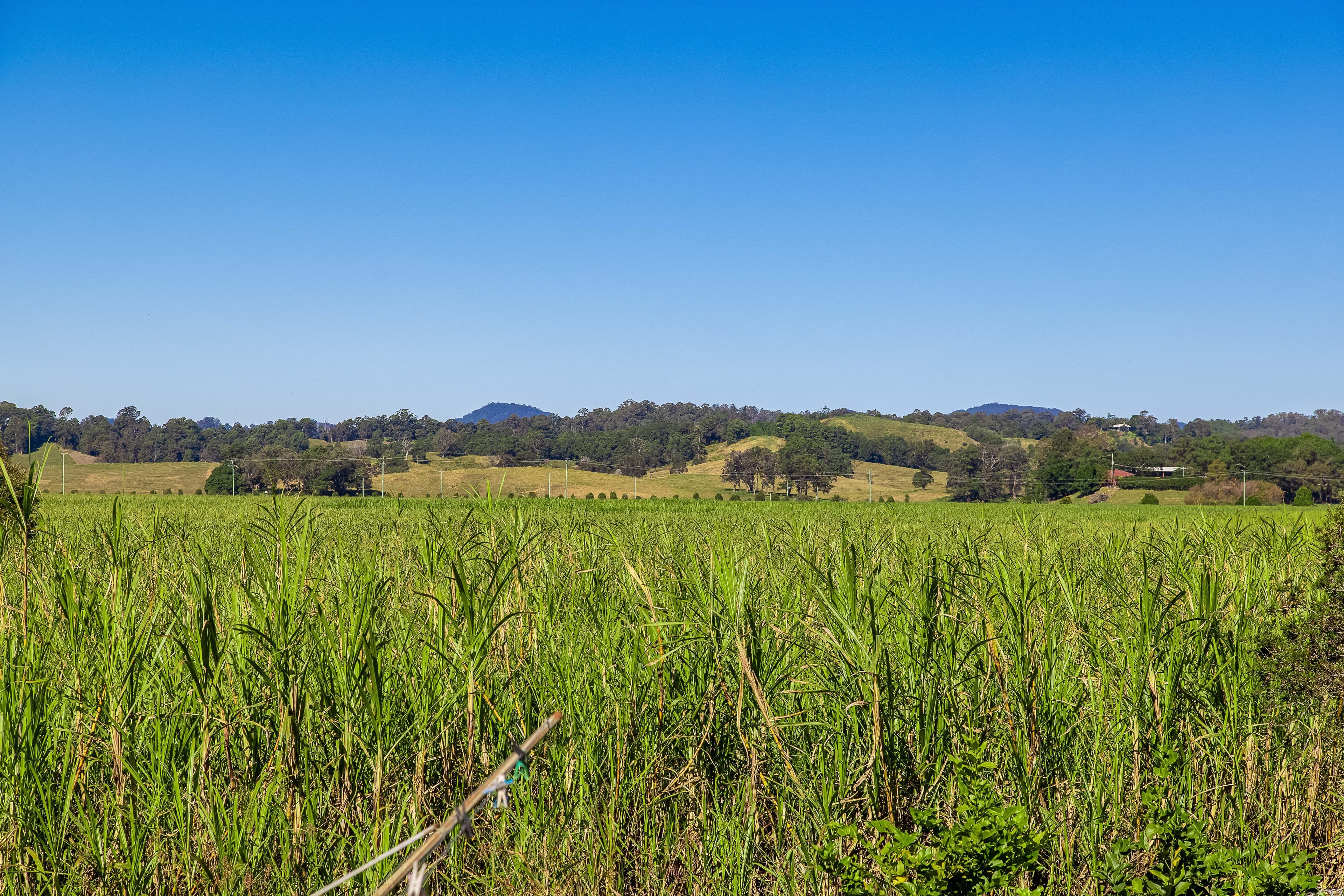 8 Railway Street, South Murwillumbah NSW 2484, South Murwillumbah - Thumbnail 4