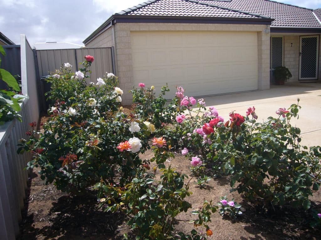 7 Winnetta Ridge, WANDINA WA 6530, Wandina - Thumbnail 8