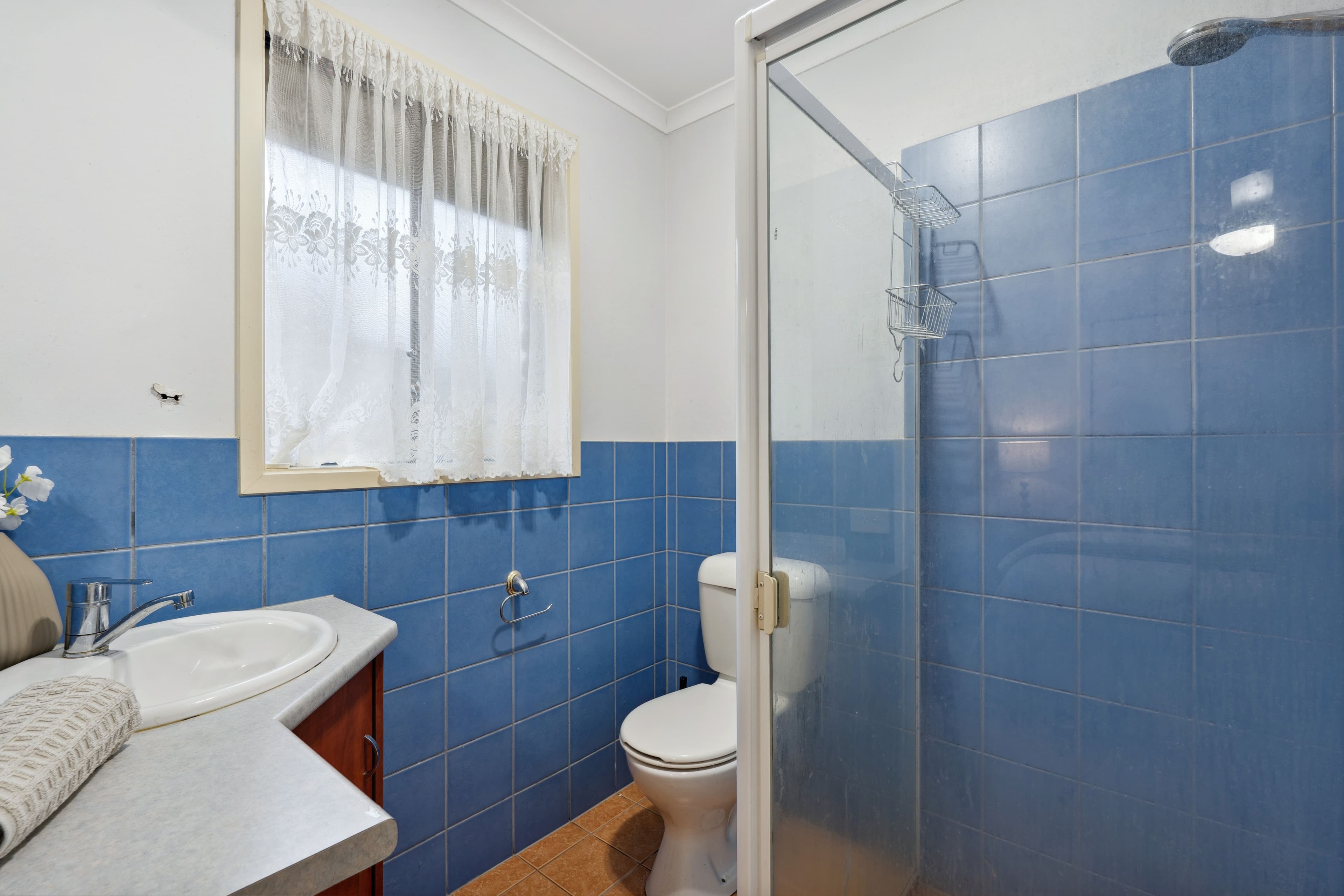 19a Trott Grove, Oaklands Park SA 5046, Oaklands Park - Thumbnail 7