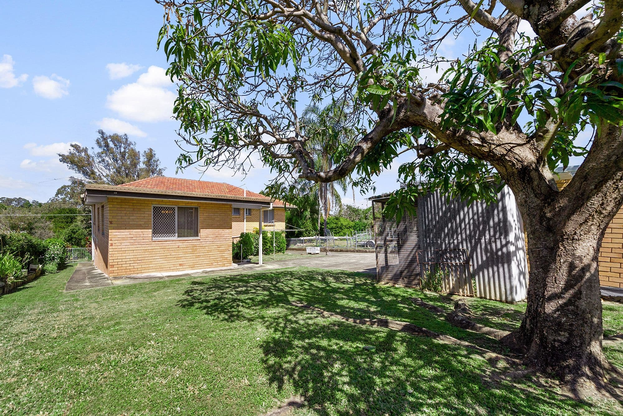 12 Blackwood Road, Geebung QLD 4034, Geebung - Thumbnail 3