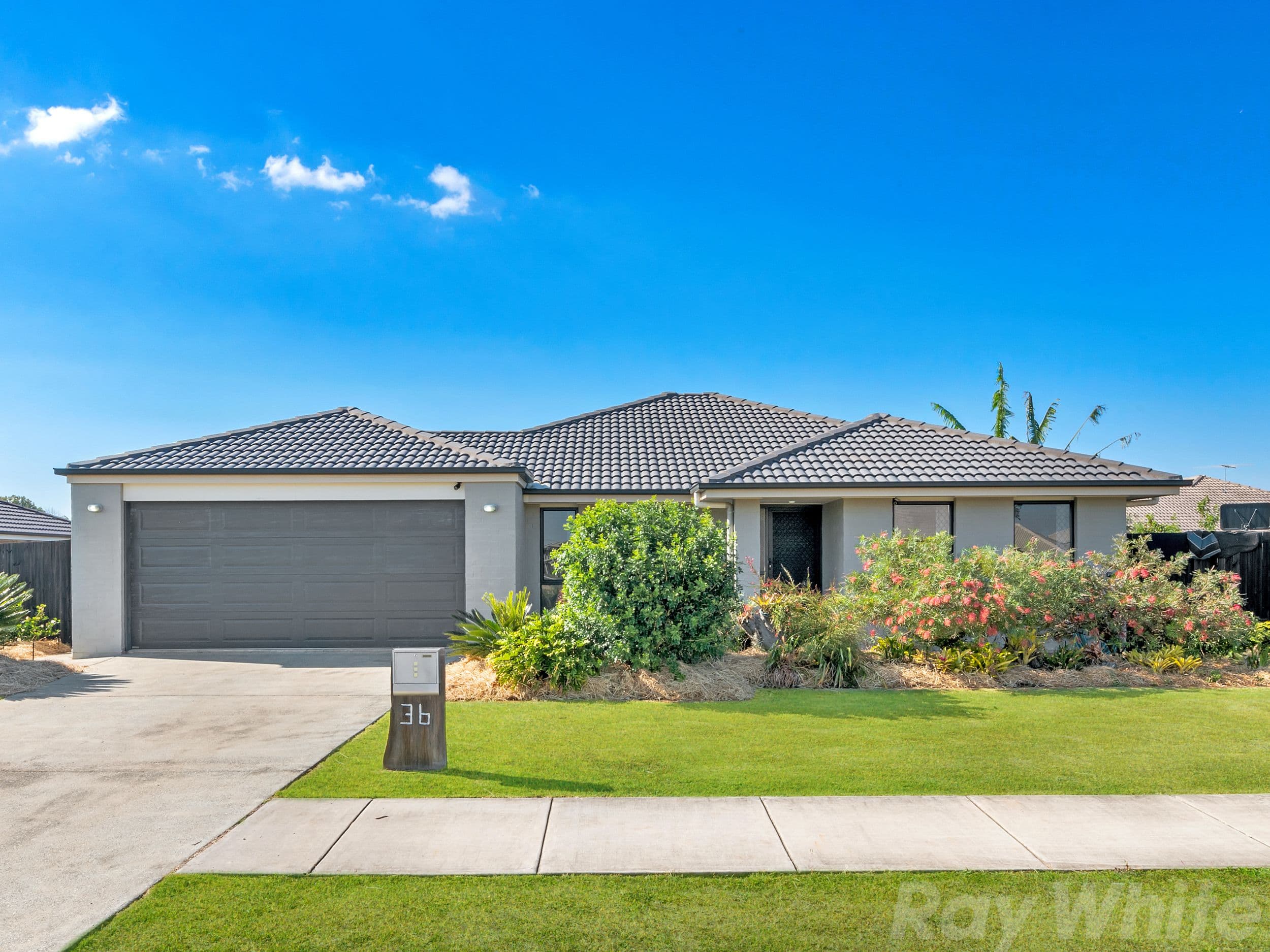 36 Piccadilly Street, Bellmere QLD 4510, Bellmere - Image 1