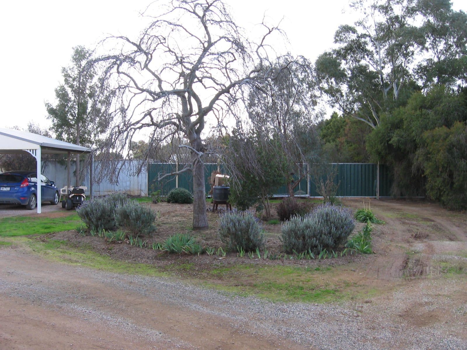 84 Pascoe Street, Rochester VIC 3561, Rochester - Thumbnail 2