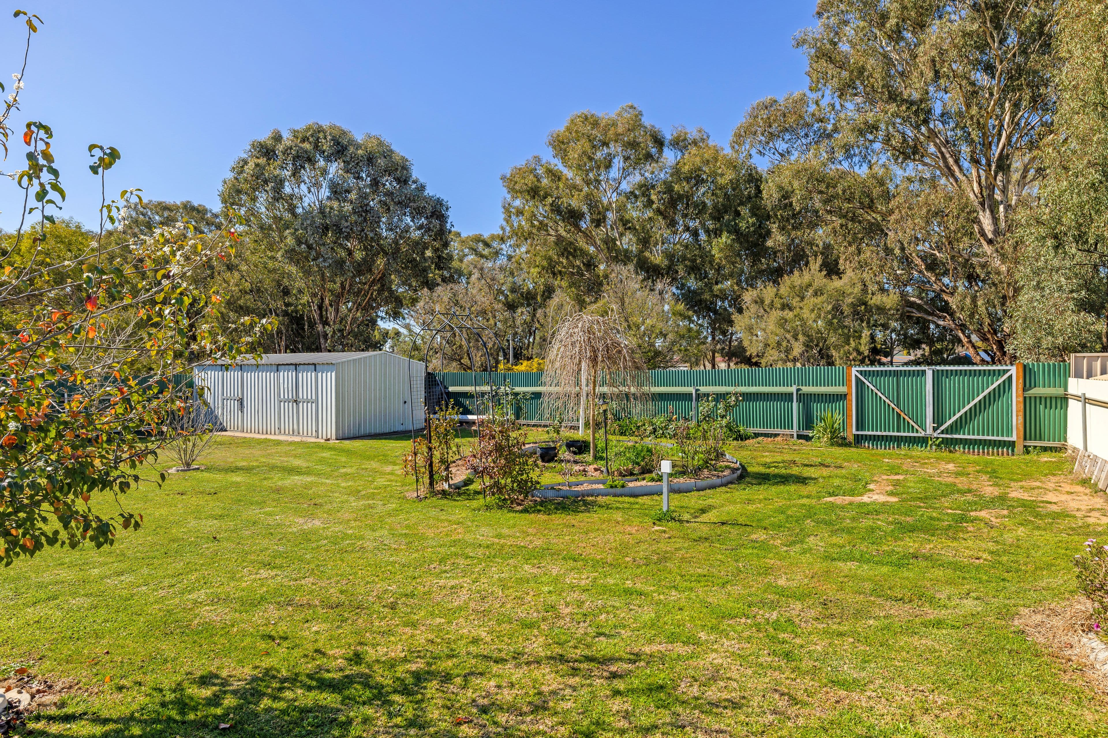 44 Karoom Drive, Glenfield Park NSW 2650, Glenfield Park - Thumbnail 7