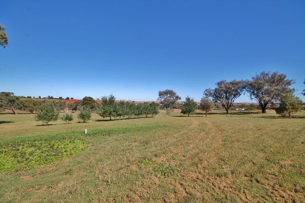 125 Golden Grove Road, Young - Thumbnail 3