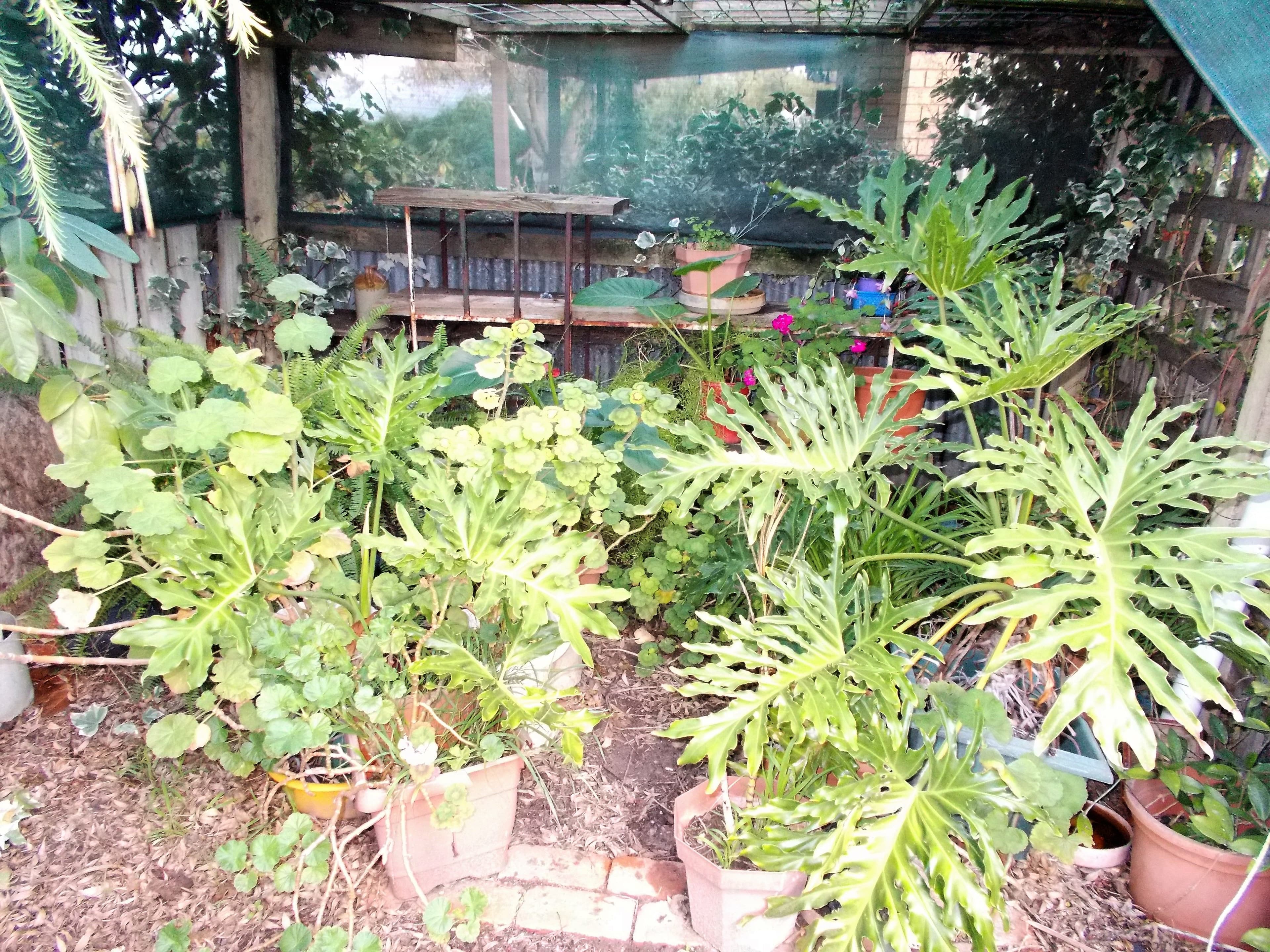 16 Patterson Street, Bordertown SA 5268, Bordertown - Thumbnail 8