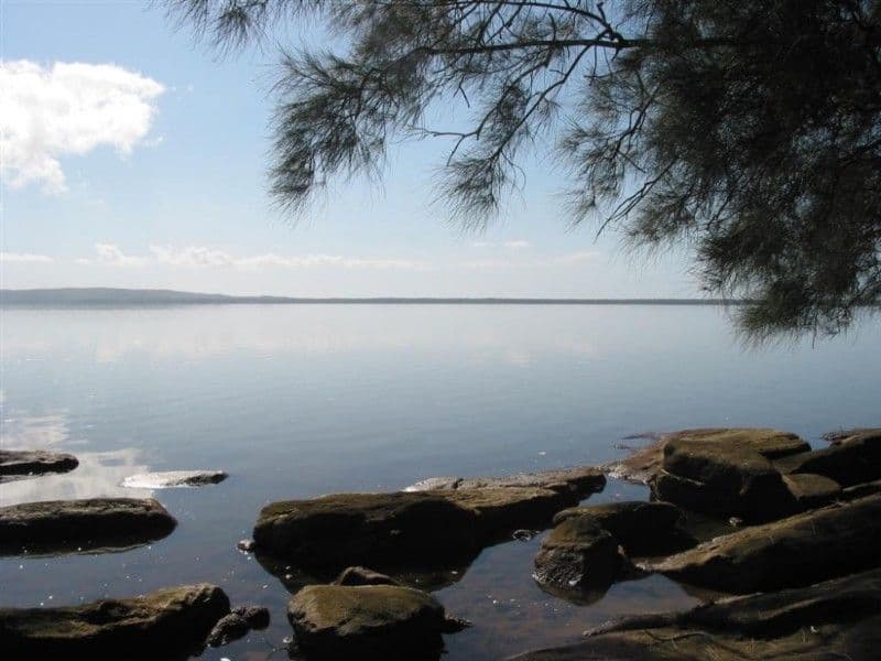 51 Laguna Street, BOREEN POINT QLD 4565, Boreen Point - Thumbnail 3