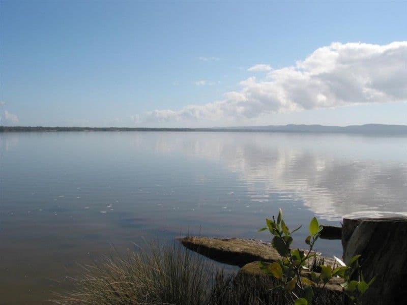 51 Laguna Street, BOREEN POINT QLD 4565, Boreen Point - Thumbnail 5