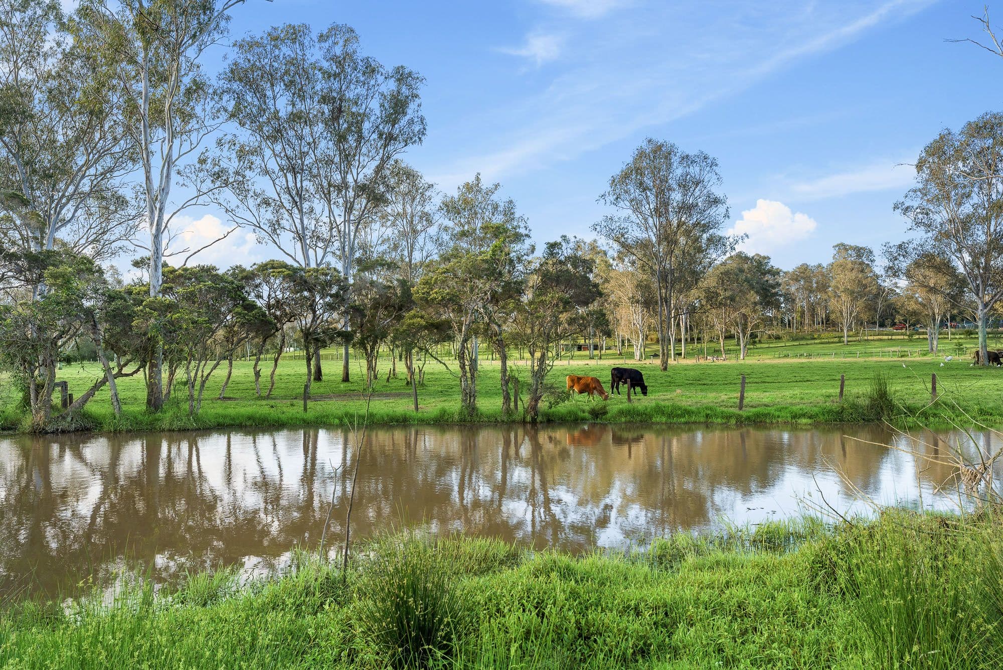 7 Bert Street, Modbury SA 5092, Modbury - Thumbnail 3